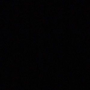 Meet your Posher, Ella